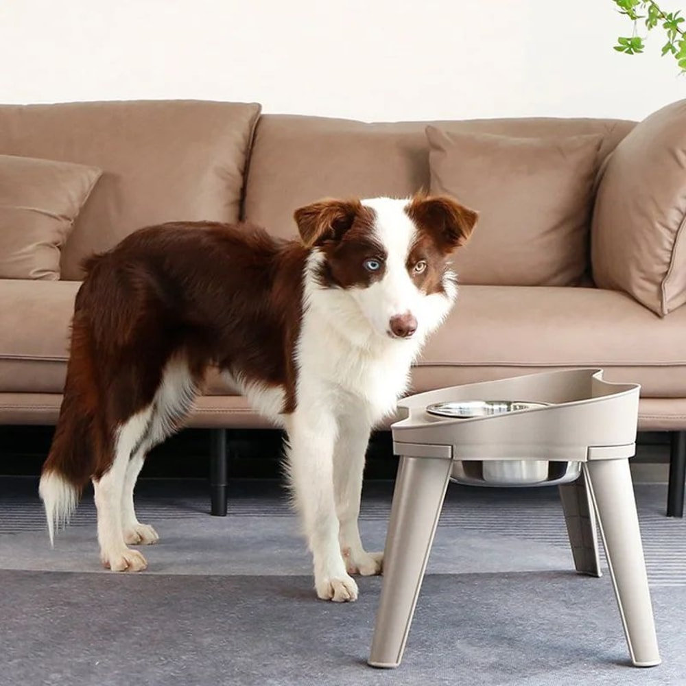 Stainless Steel Pet Bowl Dual Use Food And Water Dish Durable Feeding Bowl For Dogs Cats Easy Clean 3