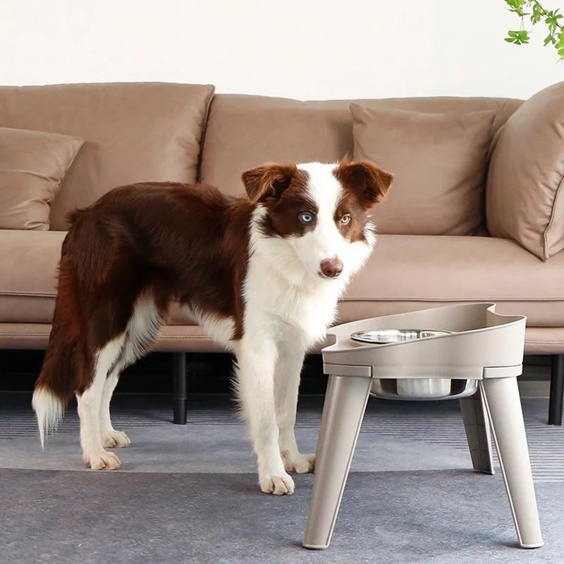 Stainless Steel Pet Bowl Dual Use Food And Water Dish Durable Feeding Bowl For Dogs Cats Easy Clean 3