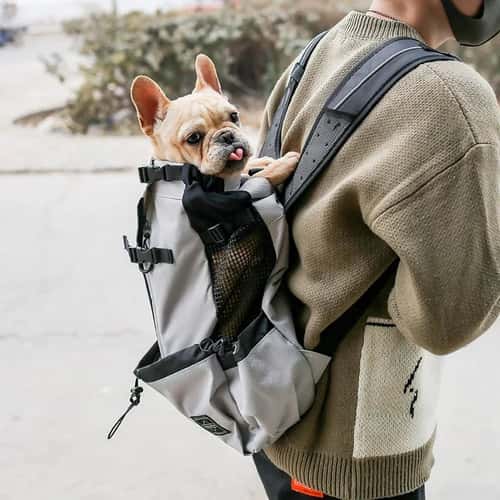 Breathable Dog Carrier Shoulder Backpack Waterproof Washable Pet Travel Bag for Hiking Outdoor Bicycle with Ventilation
