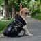 Breathable Dog Carrier Shoulder Backpack Waterproof Washable Pet Travel Bag For Hiking Outdoor Bicy 3