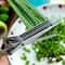 Multifunctional 5Layer Stainless Steel Herb Scissors Kitchen Scallion Cutter For Spices Onion Seaw 0