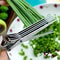 Multifunctional 5Layer Stainless Steel Herb Scissors Kitchen Scallion Cutter For Spices Onion Seaw 0