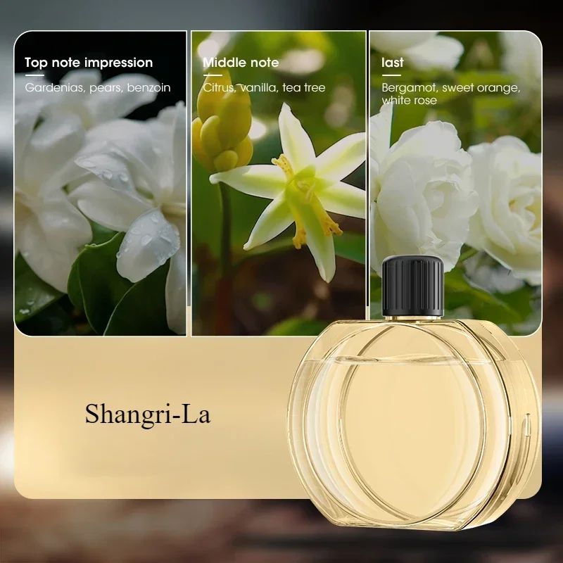 Desktop Aromatherapy Machine Air Purifying Diffuser Deodorizing Perfume Diffuser With Hilton Laven 8