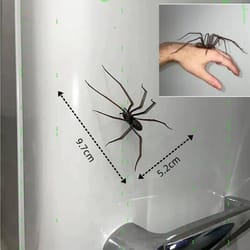 realistic spider fridge magnets – fun novelty magnetic home & garage decor