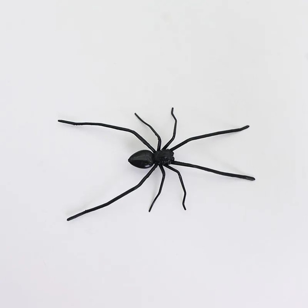Realistic Spider Fridge Magnets Fun Novelty Magnetic Home Garage Decor 6