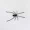 Realistic Spider Fridge Magnets Fun Novelty Magnetic Home Garage Decor 6