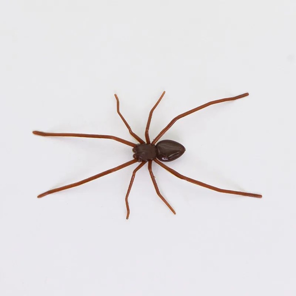 Realistic Spider Fridge Magnets Fun Novelty Magnetic Home Garage Decor 7