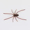 Realistic Spider Fridge Magnets Fun Novelty Magnetic Home Garage Decor 7
