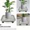 Rolling Plant Caddy With Drainage Tray Square Wheeled Flower Pot Mover Garden Plant Stand 2