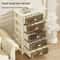 EuroStack Rolling MultiLayer Storage Cabinet Stackable PP Drawer Organizer With Wheels 3