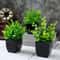 Lifelike Artificial Green Plants Decorative Faux Greenery For Home Office Event Styling 0