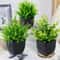 Lifelike Artificial Green Plants Decorative Faux Greenery For Home Office Event Styling 4