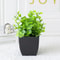 Lifelike Artificial Green Plants Decorative Faux Greenery For Home Office Event Styling 9