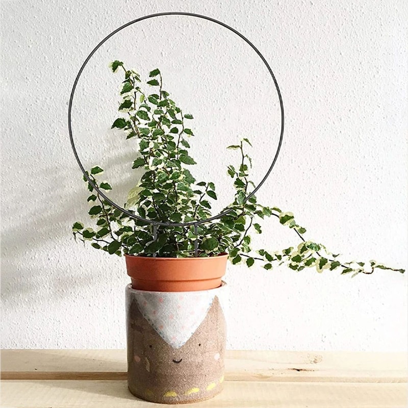 Black Iron Garden Trellis Rustproof Climbing Plant Support For Indoor Outdoor Decor 1