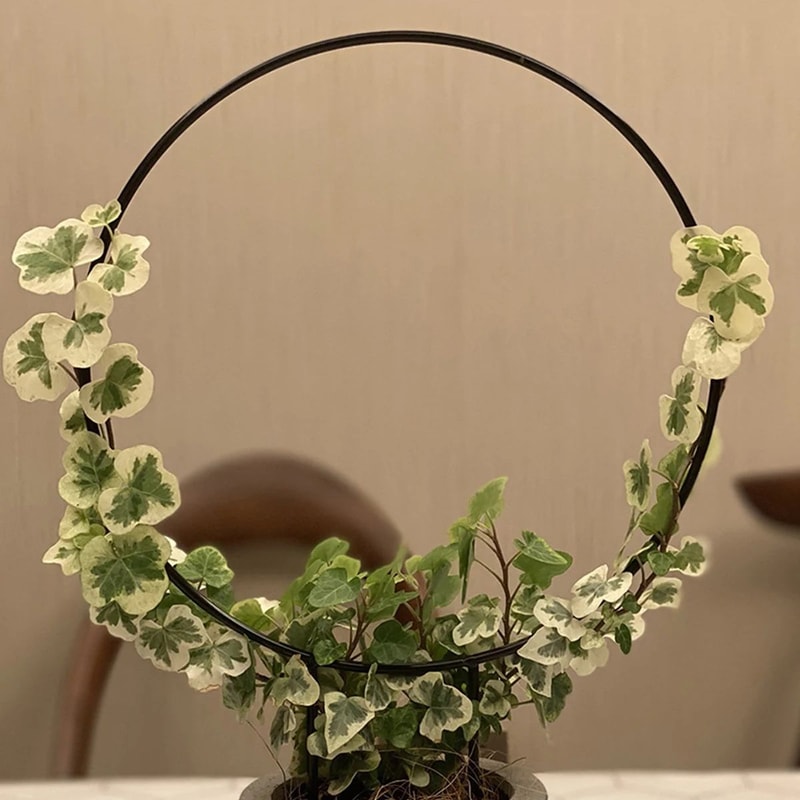 Black Iron Garden Trellis Rustproof Climbing Plant Support For Indoor Outdoor Decor 3