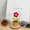 Handmade Knitted Heart Flower Pot Romantic Crochet Potted Plant Decor For Valentines Day Gift 6