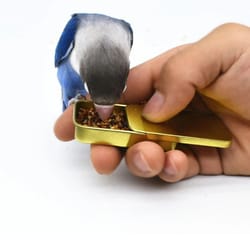 handheld parrot training feeder jar – metal bird food training cup with hinged lid