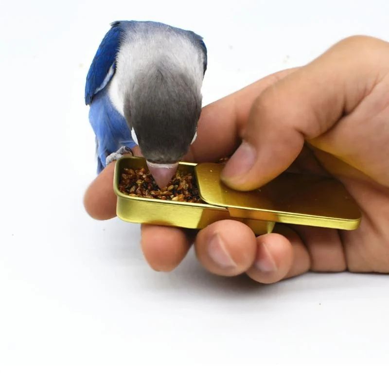 Handheld Parrot Training Feeder Jar Metal Bird Food Training Cup With Hinged Lid 0