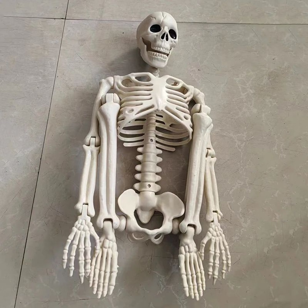 Movable Halloween Skeleton Decoration Full Body Skull Prop For Haunted House Party Decor 2