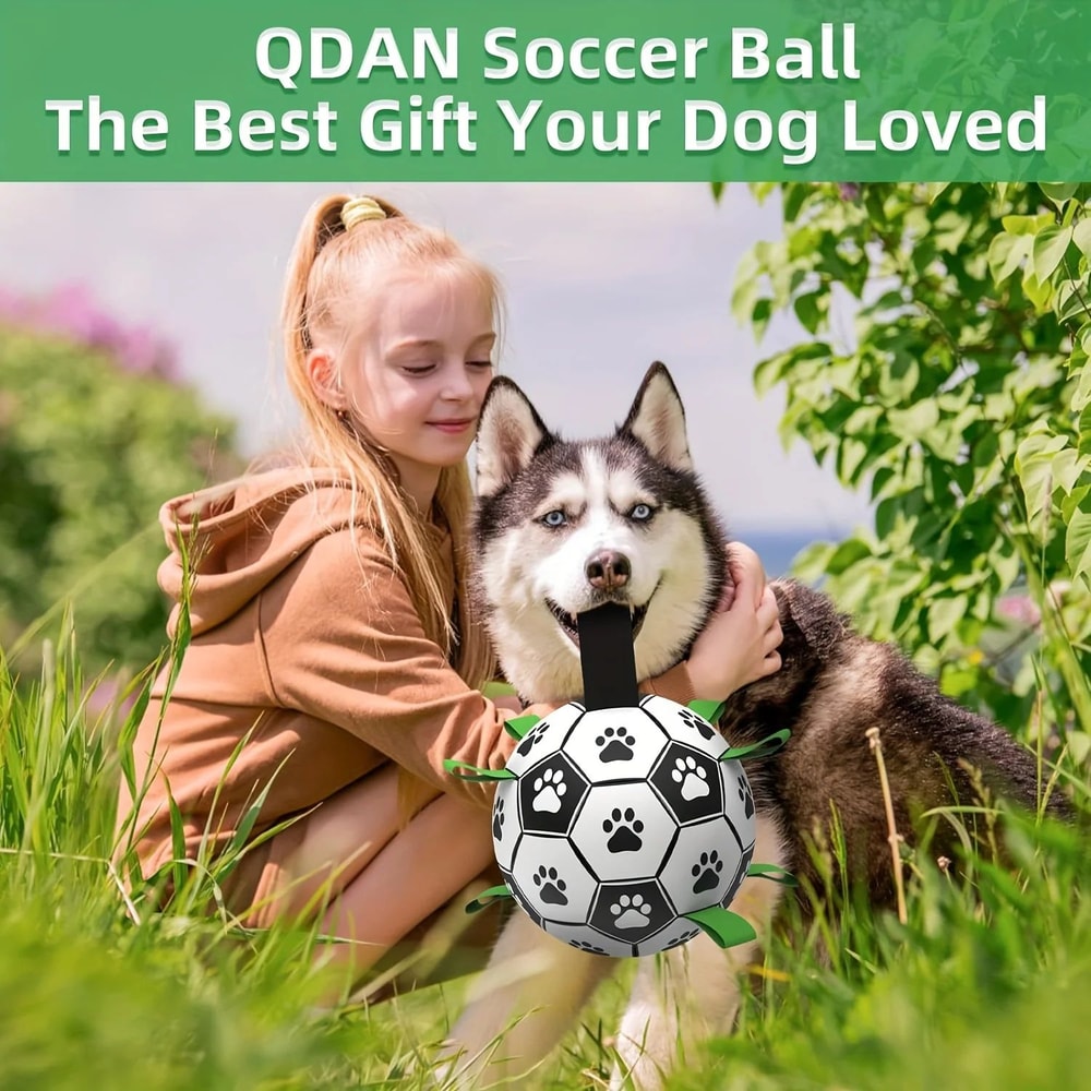 Damaly Interactive Dog Soccer Ball Toy With Grip Ring Durable BiteResistant Fetch Training Ball F 3