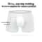 Mens Ice Silk Seamless Boxer Briefs Breathable Antibacterial Lightweight Underwear 5