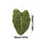 LeafShaped Coral Velvet Hand Towels Absorbent Hanging Kitchen Bathroom Decorative Cloth 6