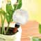 17 Oz SelfWatering Plant Globes Automatic Watering Bulbs For Indoor Outdoor Plant Care 1