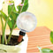17 Oz SelfWatering Plant Globes Automatic Watering Bulbs For Indoor Outdoor Plant Care 1