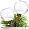 17 Oz SelfWatering Plant Globes Automatic Watering Bulbs For Indoor Outdoor Plant Care 2