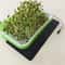 USB Plant Heating Mat 113F122F Waterproof Seedling Heat Pad For Indoor Gardening Hydroponics 1