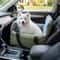 Portable Dog Car Seat Booster With Storage Pocket Washable Pet Travel Bed Safety Carrier 0