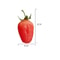 RealTouch Artificial Strawberries Set 10pcs Lifelike Fake Fruit Decor For Home Party Photography 5