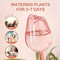 Pink Tulip SelfWatering Globes Automatic Plant Watering Bulbs For Indoor Outdoor Plants Drip Irri 2