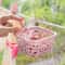 30pcs Windproof Laundry Clips Set With Storage Basket Heavy Duty AntiSlip Clothes Pins For Indoor 4