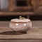 Mini Airtight Storage Jar With Lid Portable Tea Coffee Sugar Container For Kitchen Home Decor 13