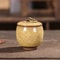 Mini Airtight Storage Jar With Lid Portable Tea Coffee Sugar Container For Kitchen Home Decor 7