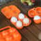 EggSafe Portable Egg Storage Case 246 Grid Travel Egg Holder Box With Handle 0