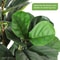Artificial Fiddle Leaf Fig Tree Faux Indoor Plant Tree 567 FT Tall With Pot For Home Decor 3