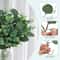 Artificial Eucalyptus Leaves Stems Bulk Set Realistic Silver Dollar Greenery For Wedding Home Dec 2