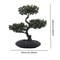 Artificial Japanese Pine Bonsai Tree Realistic Indoor Desk Plant For Home Office Decor 13