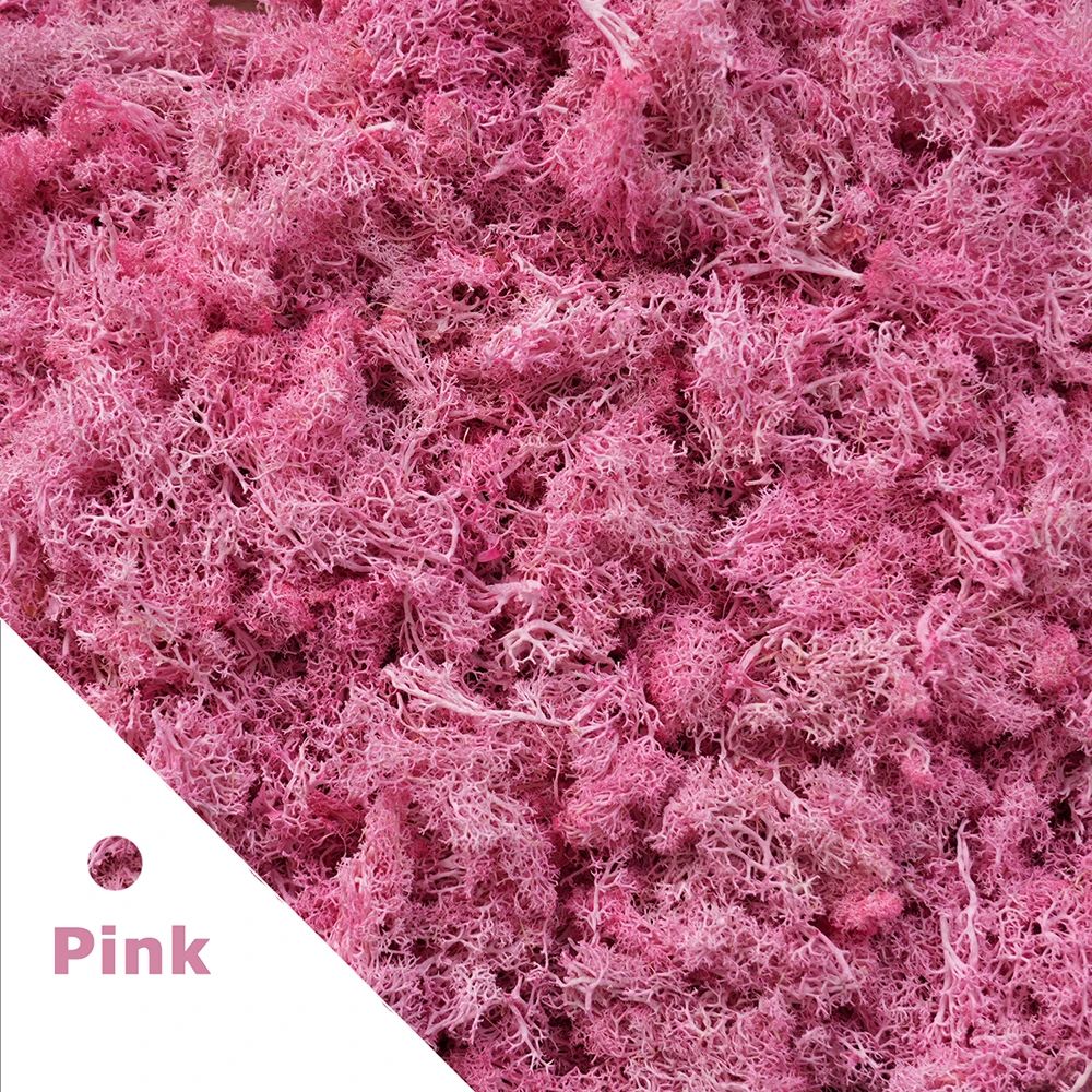 705 Oz Evergreen Serenity Artificial Moss Grass Mat Fake Grass Decor For DIY Crafts Mini Landscap 8