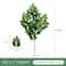 Artificial Eucalyptus Leaves Greenery Fake Flower Arrangement For Wedding Home Decor 22