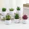 Mini Artificial Succulent Bonsai Plant Realistic Fake Cactus Decor For Home Office 2