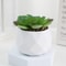 Mini Artificial Succulent Bonsai Plant Realistic Fake Cactus Decor For Home Office 3