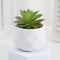 Mini Artificial Succulent Bonsai Plant Realistic Fake Cactus Decor For Home Office 14