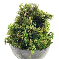 artificial green moss for plants – faux peat moss potting mix & craft decor