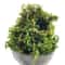 Artificial Green Moss For Plants Faux Peat Moss Potting Mix Craft Decor 0
