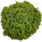 Artificial Green Moss For Plants Faux Peat Moss Potting Mix Craft Decor 5