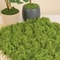 Artificial Mini Grass Moss Decor Lifelike Faux Greenery For DIY Crafts Home Decoration 2