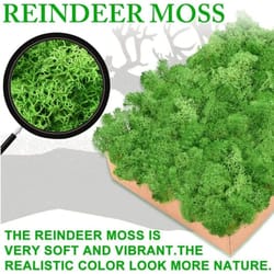 premium preserved moss decor – realistic artificial green moss for diy crafts, terrariums & home styling